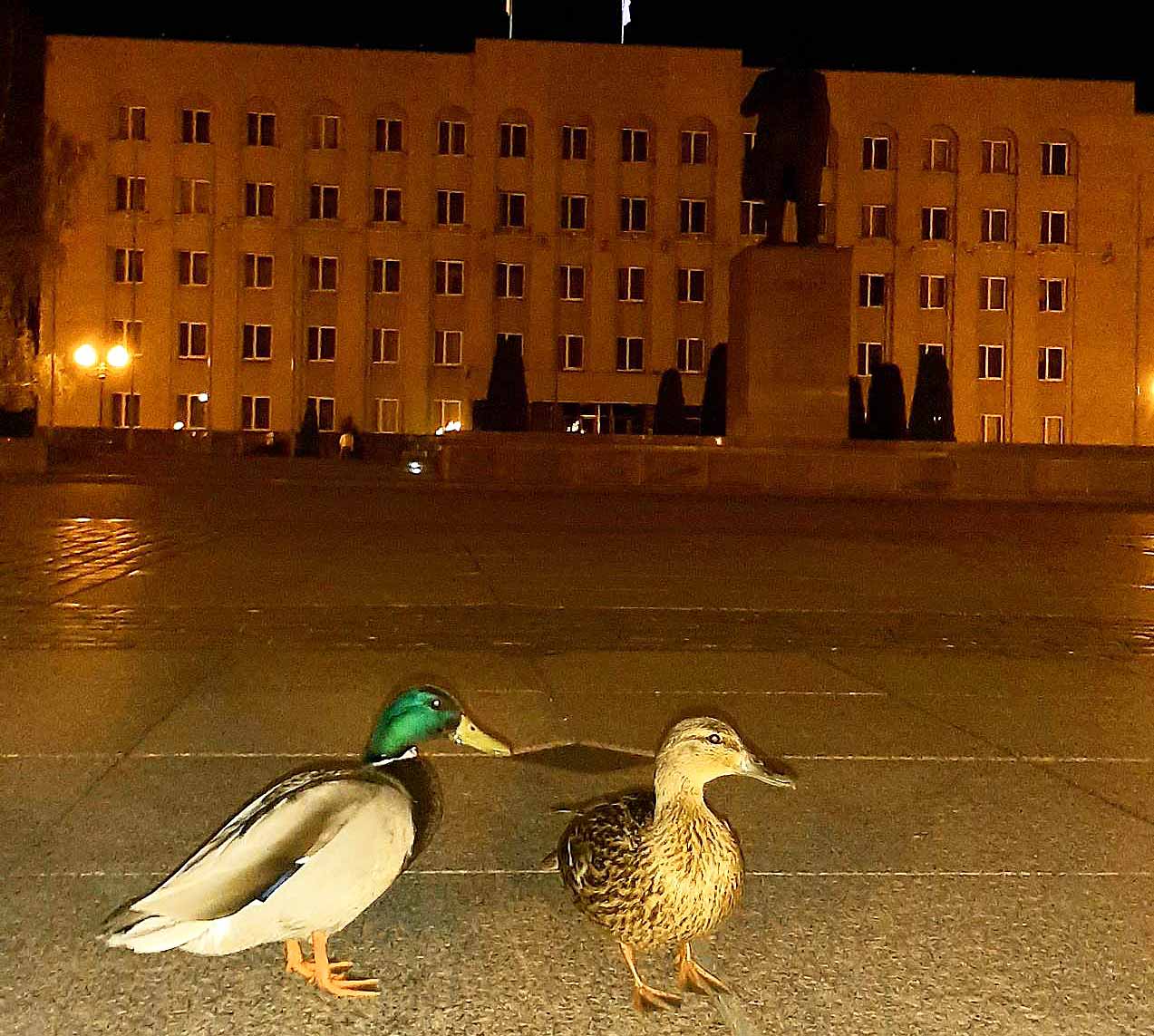 Вечерняя прогулка по опустевшему городу