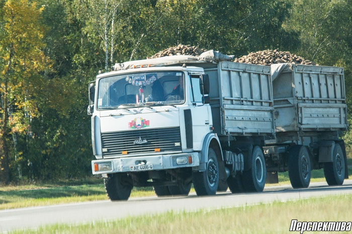 Хозяйства района приступили к уборке сахарной свеклы