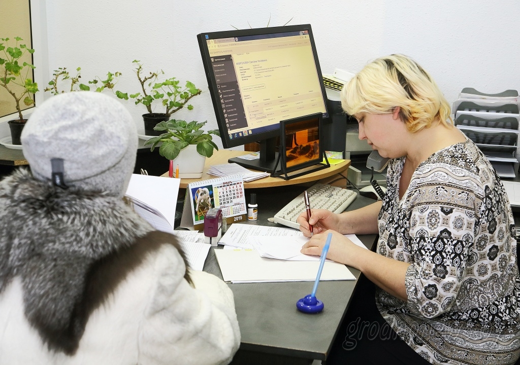 Все возможности устроиться на работу есть у тех, кто не хочет платить ЖКУ с полным возмещением затрат