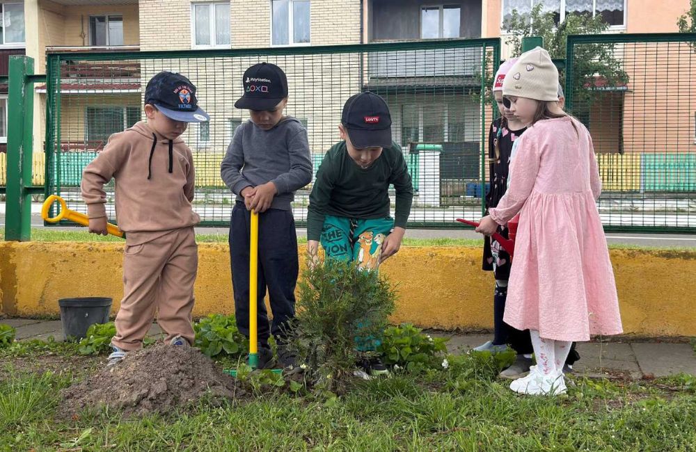 Зеленую аллею добра высадили в ДЦРР аг. Вертелишки