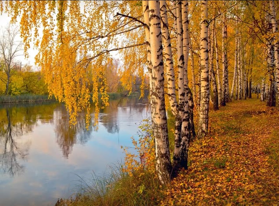 Какая погода будет в Гродно 17 октября?