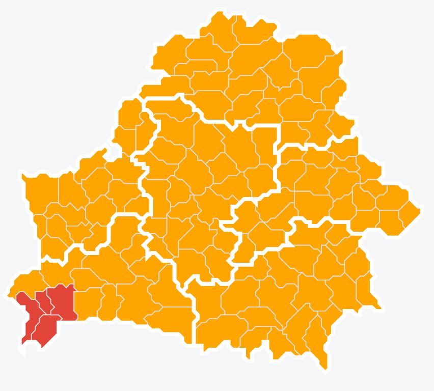 Запреты и ограничения на посещение лесов действуют по всей Беларуси