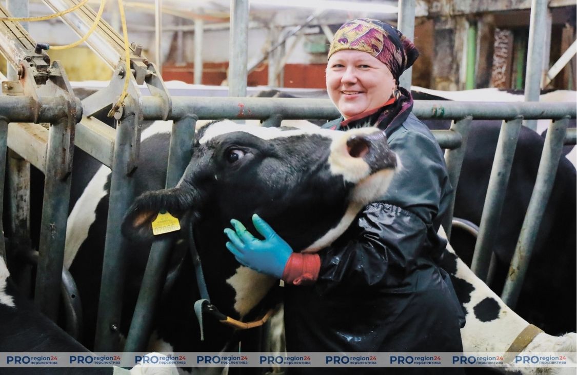 Всецело ли используются молочные резервы в Гродненском районе? Всецело ли используются молочные резервы в Гродненском районе?