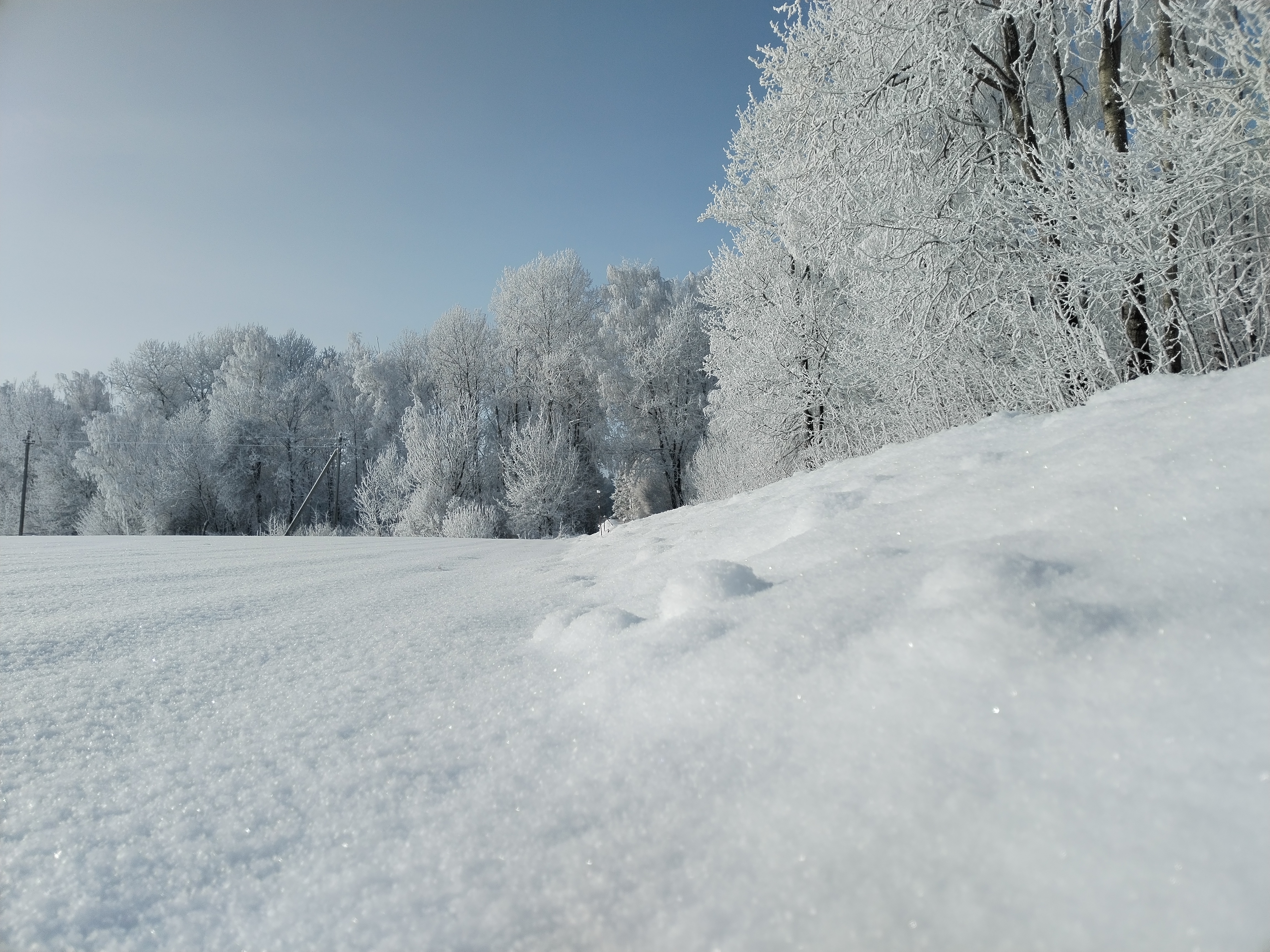ФОТОФАКТ: Зимние этюды Гродненского района