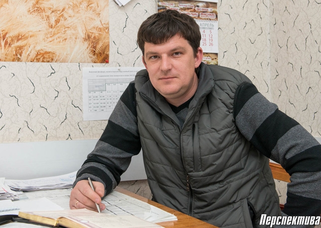Рука об руку с милицией работают дружинники в Гоже