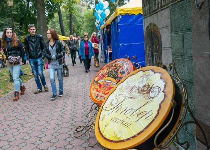 Сырные дали "Молочного мира"