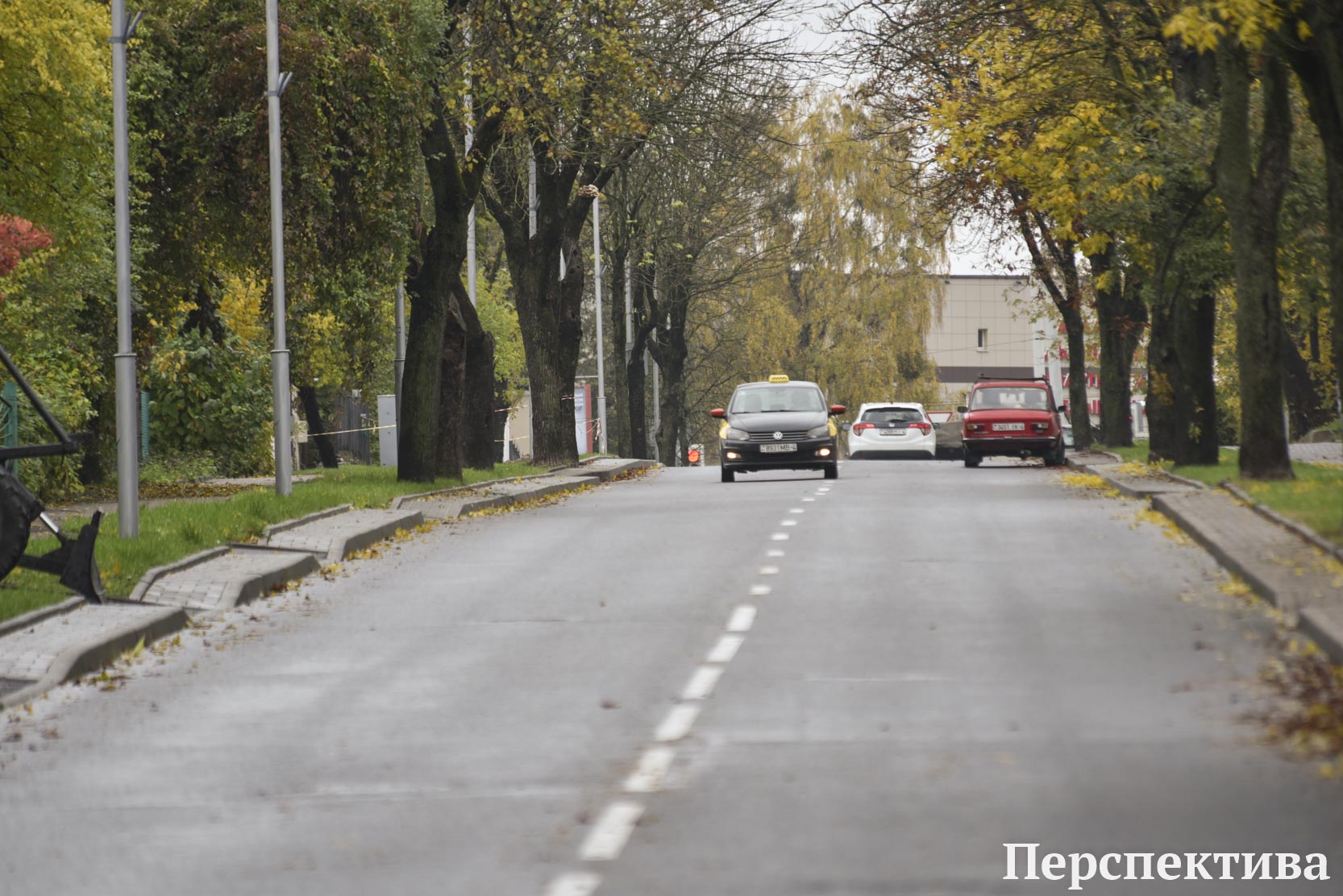 Дождь и мокрый снег ожидаются в Гродно 15 ноября