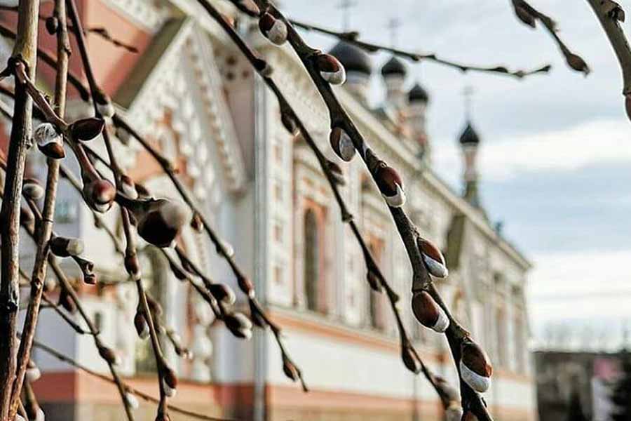 В Беларуси, России, в Украине весна наступает 7 раз!