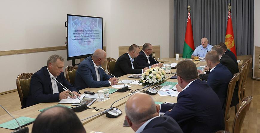 Александр Лукашенко взялся за развитие садоводства. Какие задачи стоят перед правительством и аграриями