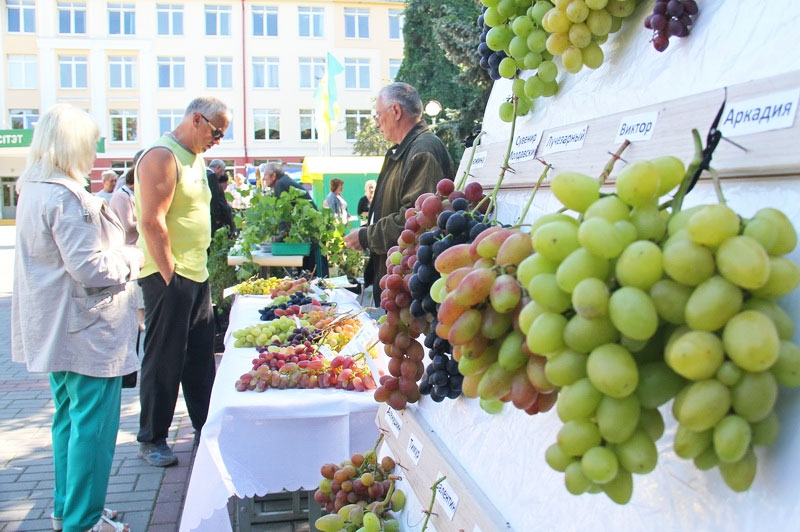 В Гродно прошла выставка-ярмарка "Виноград-2018"
