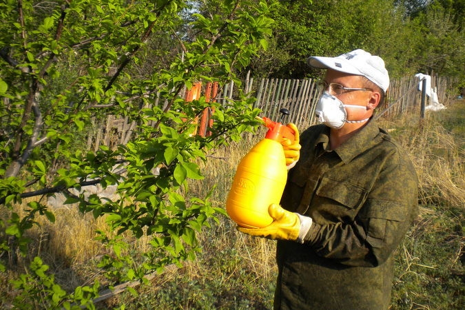 Огородный расклад: Советы специалиста