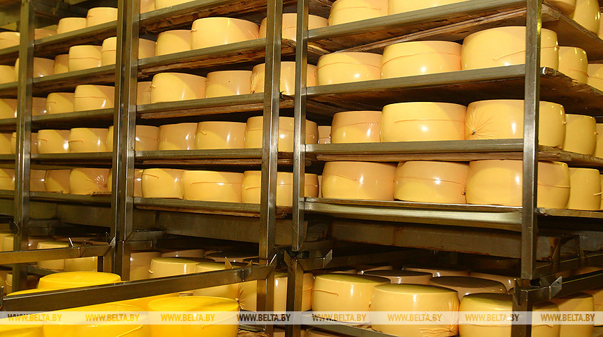 Молочка обеспечивает более 40% экспорта белорусской сельхозпродукции