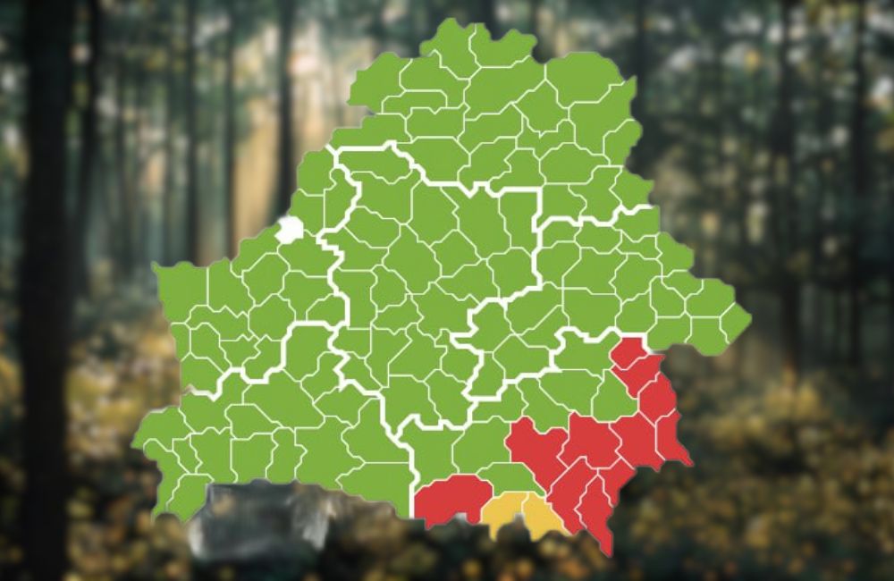 На всей территории Гродненской области сняты ограничения на посещение лесов
