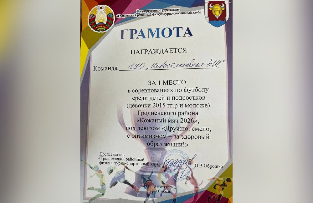 Кожаный мяч 2