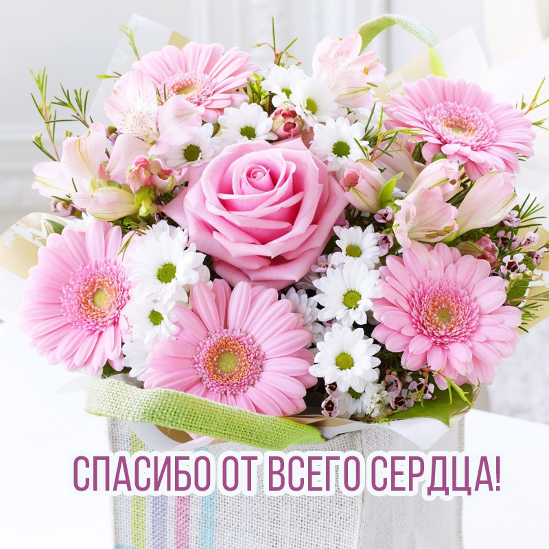 utradobrogo_ru_4682.jpg