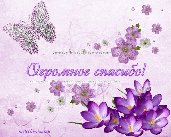 164ab0cb556e6d10113e82c008500c3d.jpg