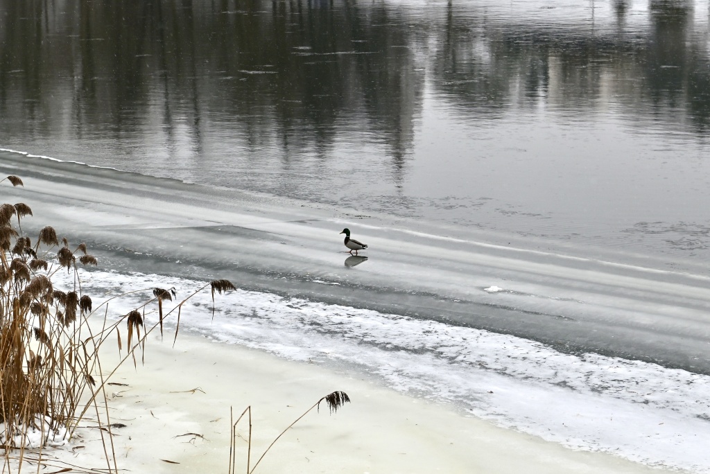 DSC_3266.JPG