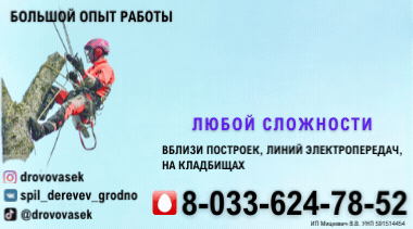 наша реклама.jpg СПИЛ ДЕРЕВЬЕВ.gif