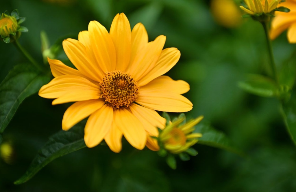 Фото 4