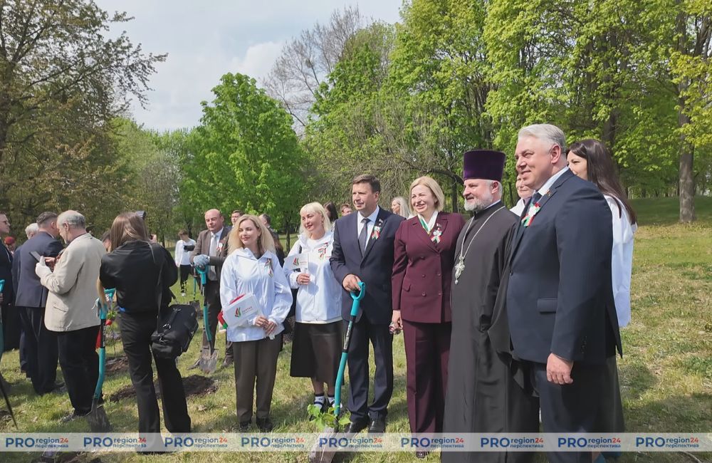 Сирень Победы 8