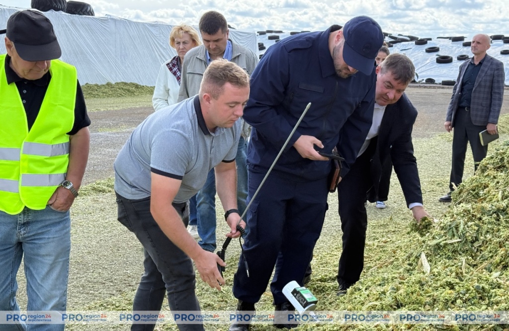 Поздравление 14