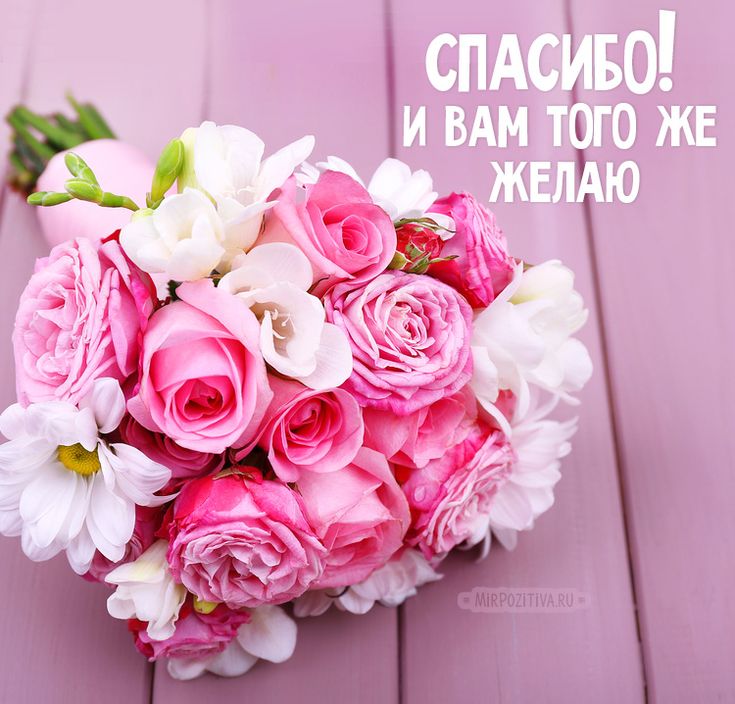 d5201c69c74d6a57c1a55c78b139b502.jpg