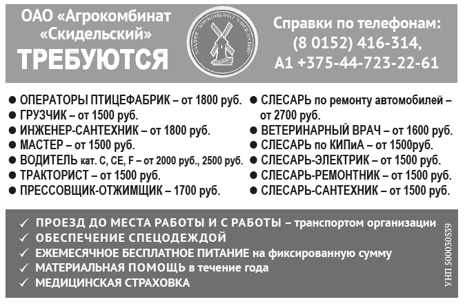 Скидель птицефабрика вакансии.PNG