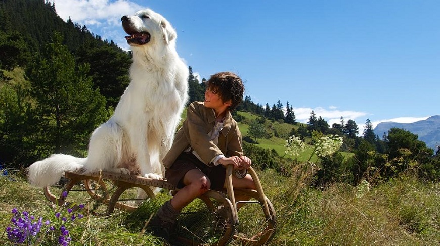 Белль и Себастьян.jpg