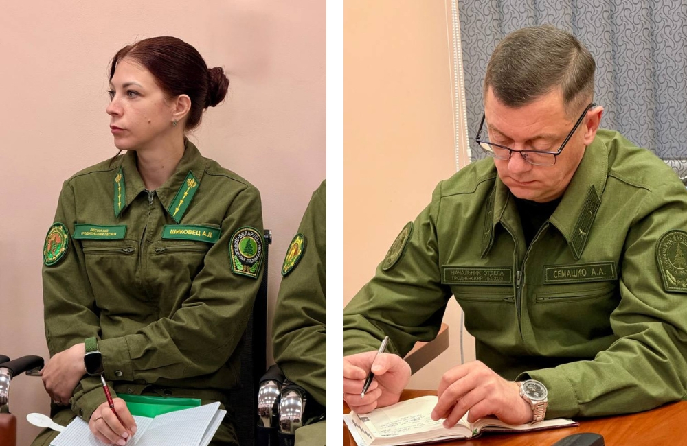ЕДИ Гродненский лесхоз 3