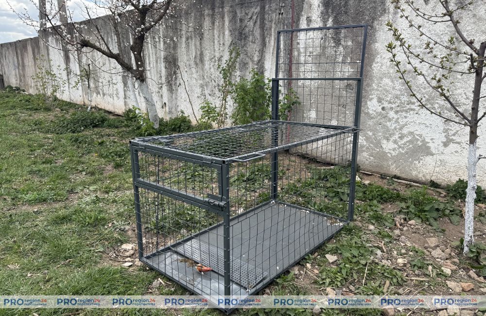 АНОНС ФОТО САЙТ - 2026-04-29T143508.831.jpg