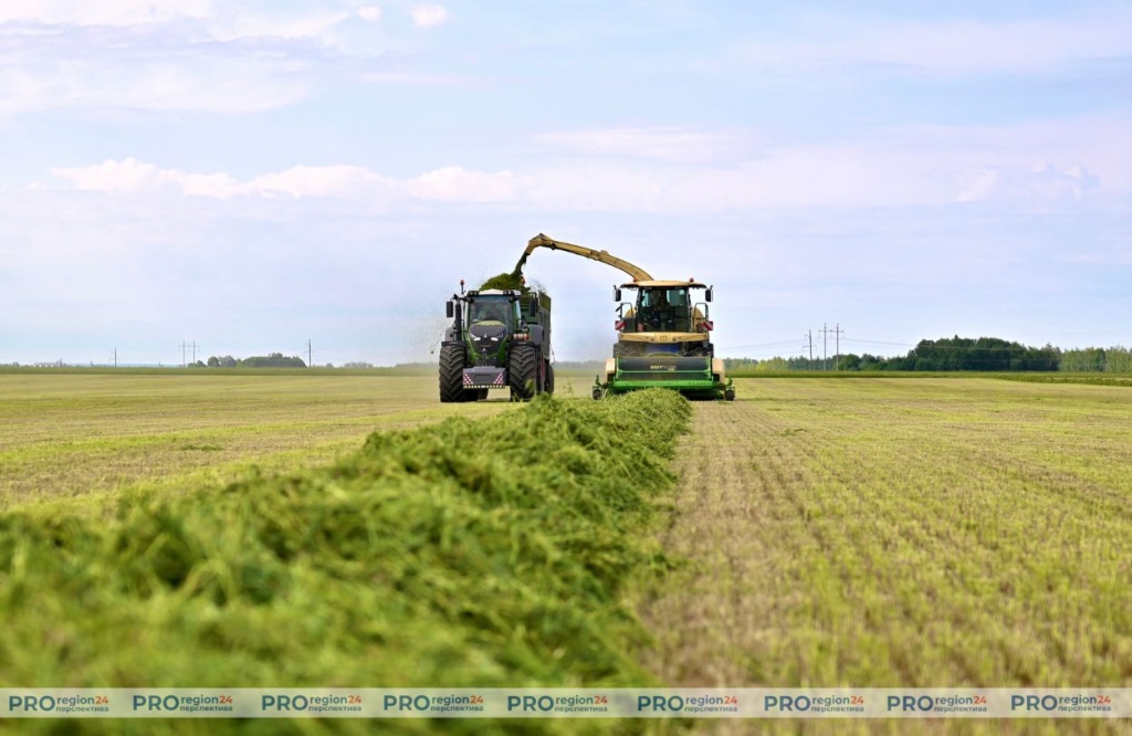 Strip-till технология 6