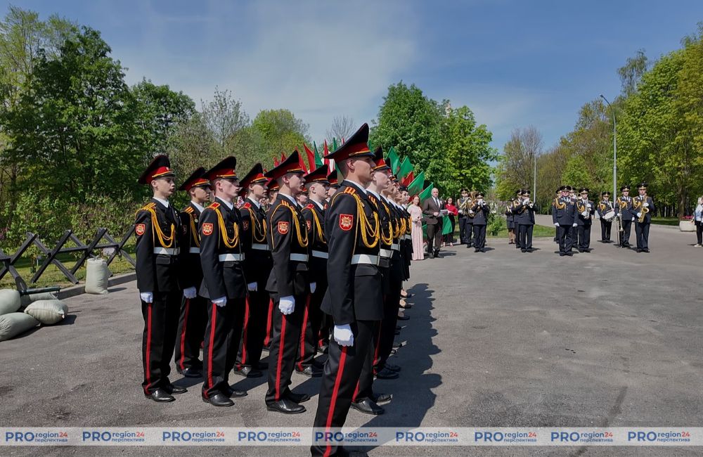 Сирень Победы 5