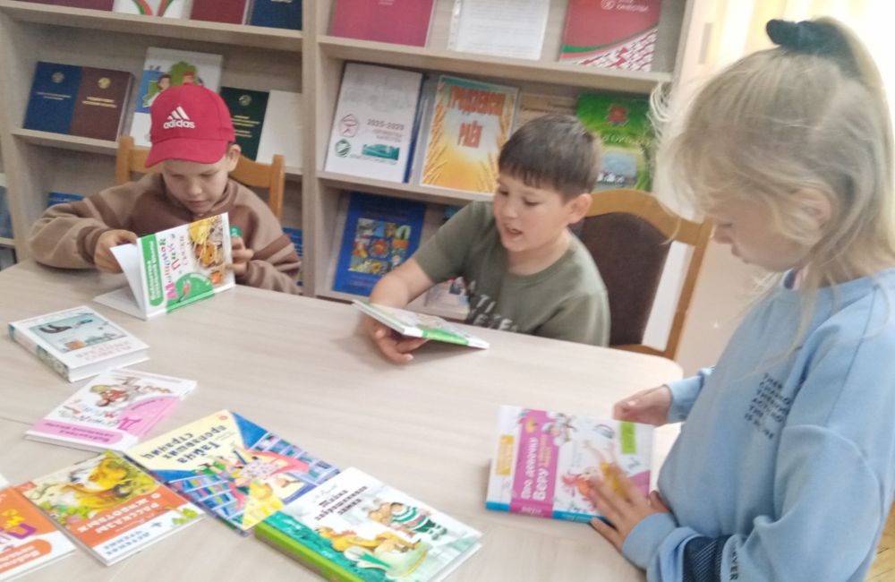 Презентация книг в библиотеке 3