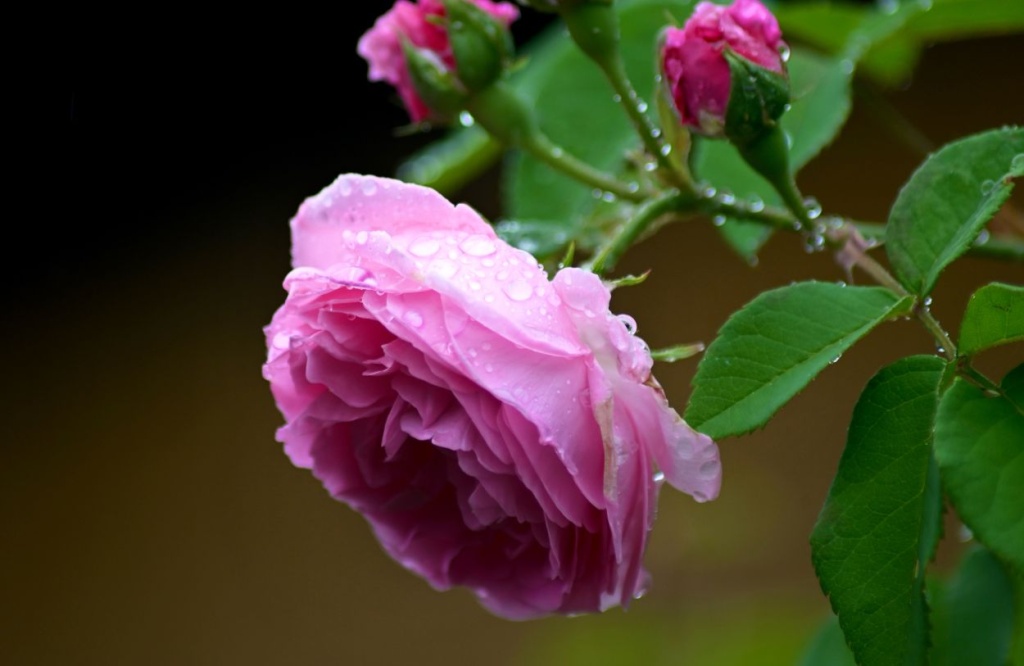Фото 8