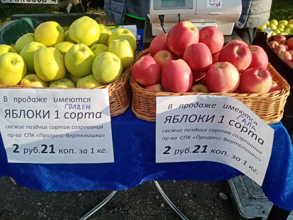 фото 5в.jpg