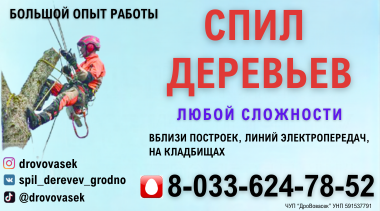 СПИЛ ДЕРЕВЬЕВ.png